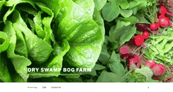 Desktop Screenshot of dsbfarm.com